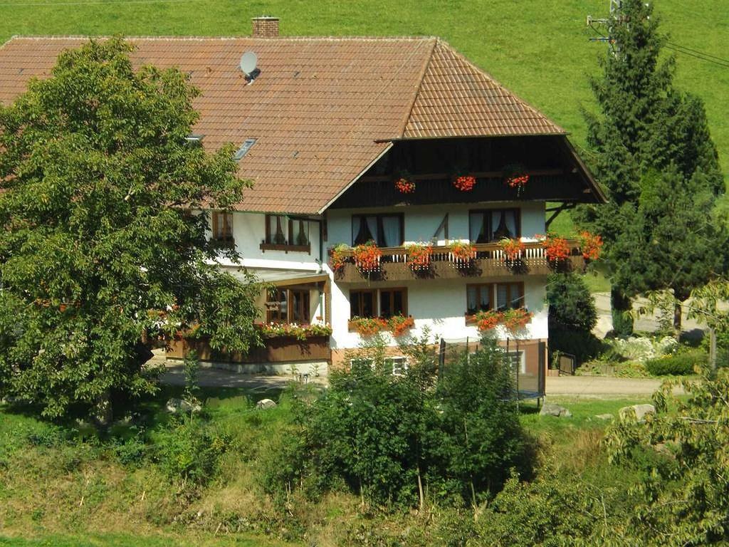 Апартаменты Schusselehof Oberprechtal Экстерьер фото
